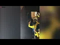 Over 70 people dress as ‘Minions’ and cheer the arrival of leader 'Gru’ at Halloween party | SWNS