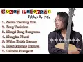 Download Lagu Cover peterpan pilihan felix