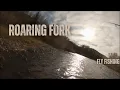 One of My Biggest Fish of 2024 - Roaring Fork Fly Fishing