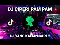 Download Lagu DJ CAMPURAN CIPERI PAM PAM MAIMUNAH VIRAL TIKTOK 2022