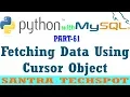 Fetching Data From MySQL Data base Using Cursor Object in Python in Tamil