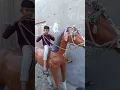 Download Lagu chal mere Ghode tik tik tik 🐎👍👌💯✅🎉🥳🍭🐎
