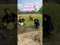 Download Lagu POV: KETIKA PUNYA TEMEN SUKA BERAK IKUTAN BERAK🤭🤭 #viralshort #lucu #viralditiktok #viralvideo