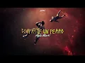 COMPRATE UN PERRO (Agite Mix 1) ⚡ DJ TRA
