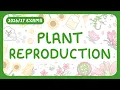 GCSE KS3 Biology - Plant Reproduction Anatomy Pollination