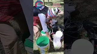 Pollo a la plancha cholo Aquiles