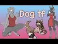 Dog tf