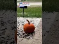 Residents In Warrenton Mo Experience A Hail Storm
