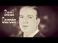 Lejos de ti (Raúl Garcés)