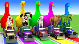 Gaming Music | 5 Giant Duck Cartoon | Paint Wild Animals Crossing Fountain Animation | MAP 055