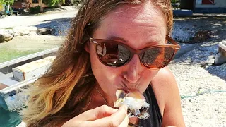 Sharks, dolphins and a tasty oyster for breakfast – EP 160 Sailing Seatramp