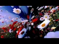 Download Lagu RÜFÜS DU SOL - Music is Better (Club Edit) [Official Audio]