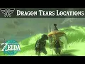All Dragon Tears Locations Zelda Tears of the Kingdom Guide