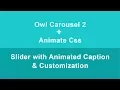 Owl Carousel 2 With Caption Animation Animate CSS Customization