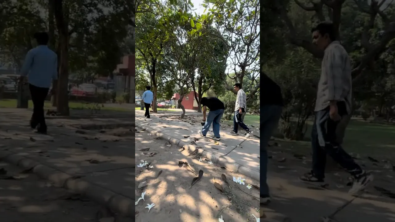 Digital Marketing Course in Chandigarh Video