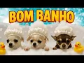 Download Lagu ✨ O PRIMEIRO BANHO DAS GÊMEAS JUNTO COM A IRMÃ POLENTA!