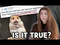 Download Lagu Do Hamsters Only have Horrific deaths?!?