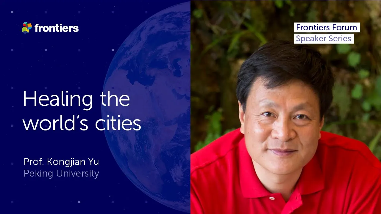 Nature-Based Solutions for Ecological Sponge Cities