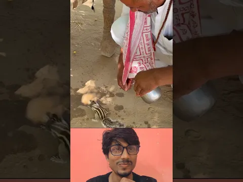बच्चे को कैसे छोड़ देती, मां है... 🥰