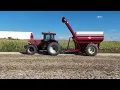 Download Lagu Soybeans harvest 25' Pat \u0026 Tania Minten #farming #farmer #farm #tractor #combine #case #canada 