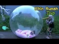 Download Lagu BIKIN RUMAH DARI BALON TIUP! Gawat Di Usir Mama