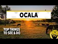 Top Things to See Do in Ocala Florida