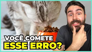 ESSES São Os MELHORES Horários Para ALIMENTAR Um Gato!