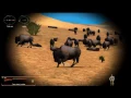 hunting unlimited-buffalo attack