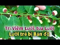 Lagu Bài thuốc trị Viêm Lưỡi, tưa Lưỡi, Lưỡi bản đồ Rất hay. PHAN HẢI Channel