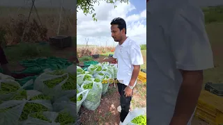 1 का एकरात ₹250000 लाख खर्च😱💵#shorts #indianfarmer