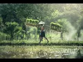 Download Lagu Relaxing Nuances of Rindik Bali