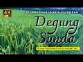 Download Lagu WARNING! DEGUNG SUNDA PALING POPULER Bisa Membuat Anda Ketagihan!