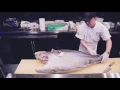 The Blue Fish 121