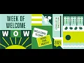 Which WOW experiences are offered for first-year and transfer students