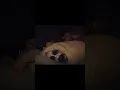 Download Lagu Scary video don't watch alone ☠️🙀watch on horror night #horrorshorts #scary #trending #viralshort