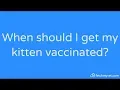 When Should You Get Your Kitten Vaccinated