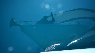 Ghosting like Ninjas through Ocean Rivers — Sailing Uma [Step 183]