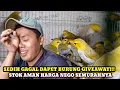 Lagu HARGA NEGO SEMURAHNYA!! CEK HARGA BURUNG DIKIOS LIAM EXOTIC BIRD PASAR BURUNG PRAMUKA HARI INI