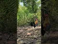 Download Lagu ikuti jejak kami,JEJAK-JEJAK PEMIKAT ANDALAS