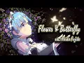 Download Lagu Maiko Fujita  - Flower \u0026 Butterfly