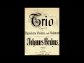 Katchen, Suk, Starker, Brahms Piano Trio No.3 in C minor Op.101