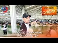 Download Lagu KUNJUNGAN KE PT. DJARUM COKLAT KUDUS. MENGETAHUI PROSES PEMBUATAN ROKOK KRETEK