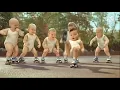 Download Lagu ku ku kuku baby dance whatsapp status