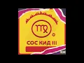 05. V:RGO - ZMII