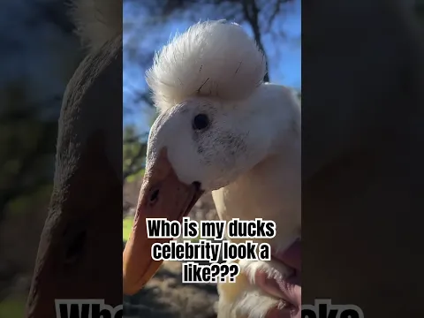 Which one?