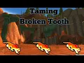 Download Lagu How To Tame: Broken Tooth Classic World Of Warcraft Guides