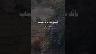 طويل الشوق يبقى في إغترااب حالات واتس آب أناشيد 