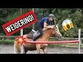 Download Lagu Sketch || 7 type manege pony's in de les!