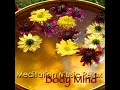 Meditations - Meditation Relax Club