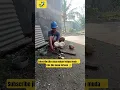 Download Lagu Rejeki takkan kemana, kelapa jatuh di kepala dia, segarnya tetap buat kita 🥥✨ #ngakak #lucu #funny